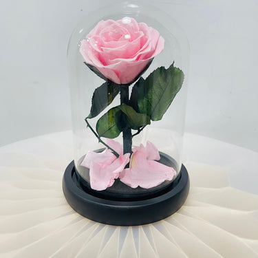 Infinity Pink Rose in Glass Dome